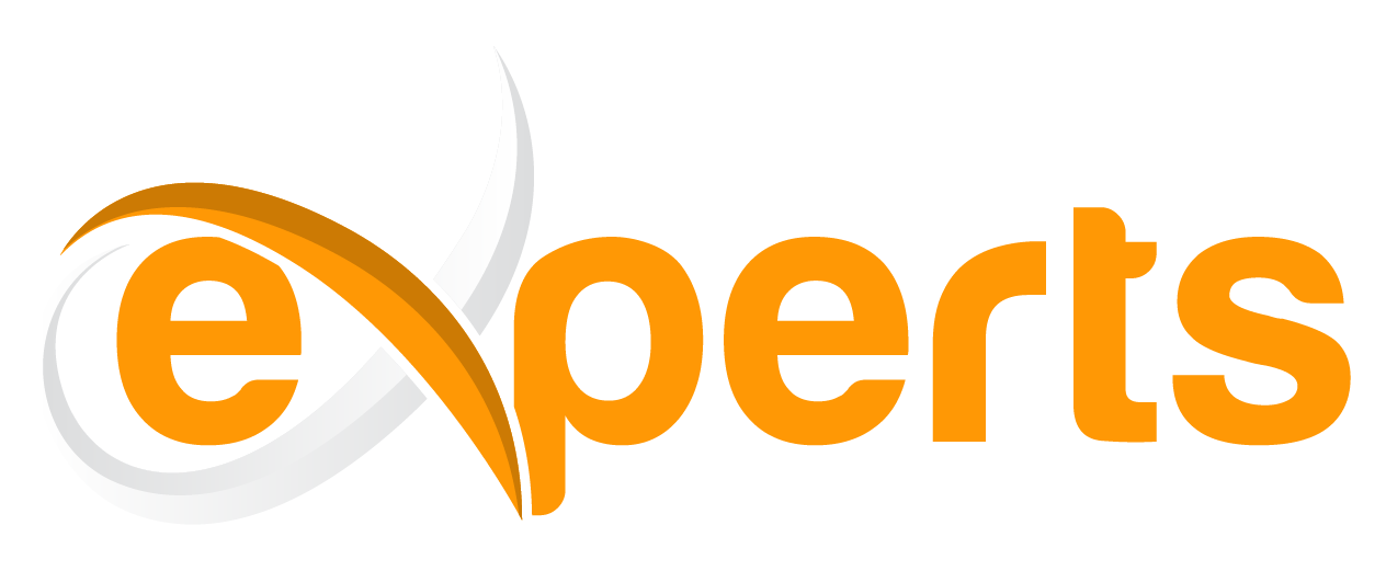 Website Designs Experts16